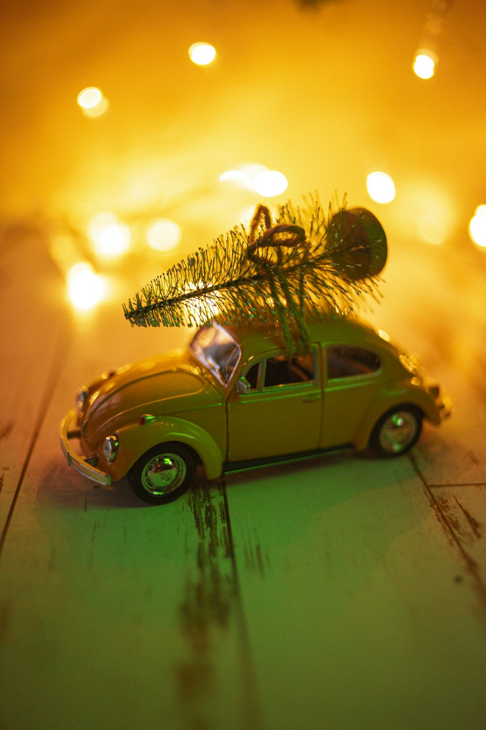 green volkswagen beetle parked beside palm tree during sunset