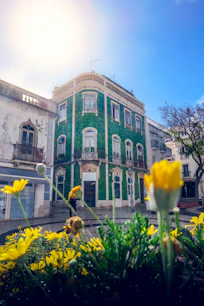 yellow flowers in front of brown concrete building
