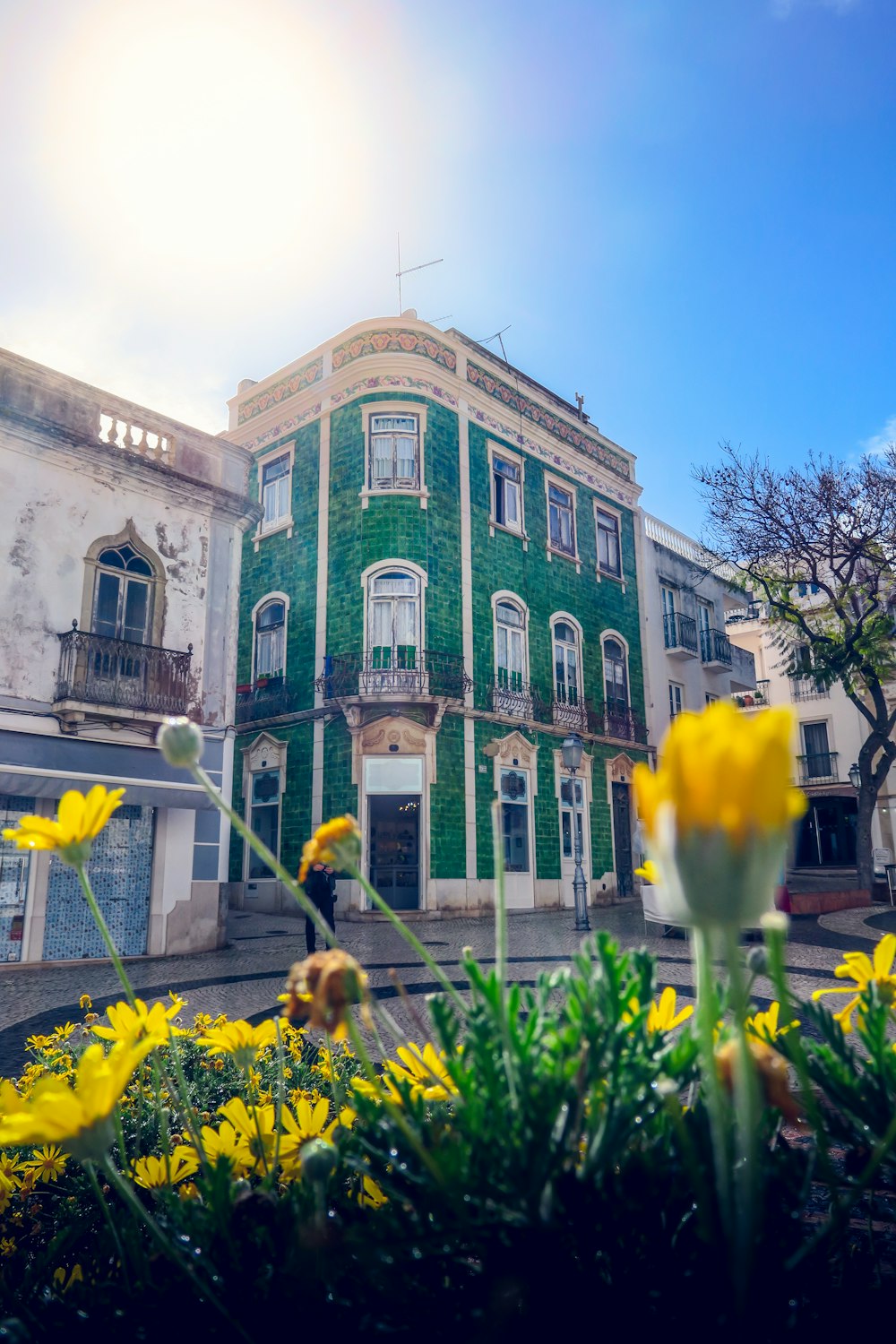 flores amarelas na frente do edifício de concreto marrom