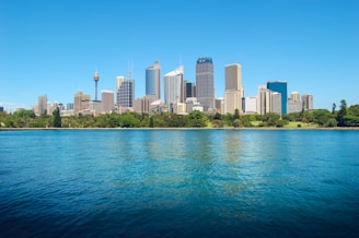 city skyline across body of water during daytime