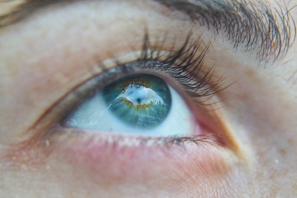 persons blue eyes in close up photography