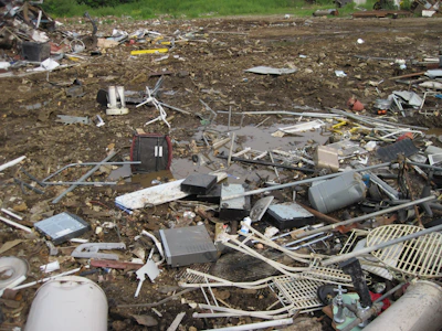 A close-up of hands sorting electronic waste with green plants in the background.