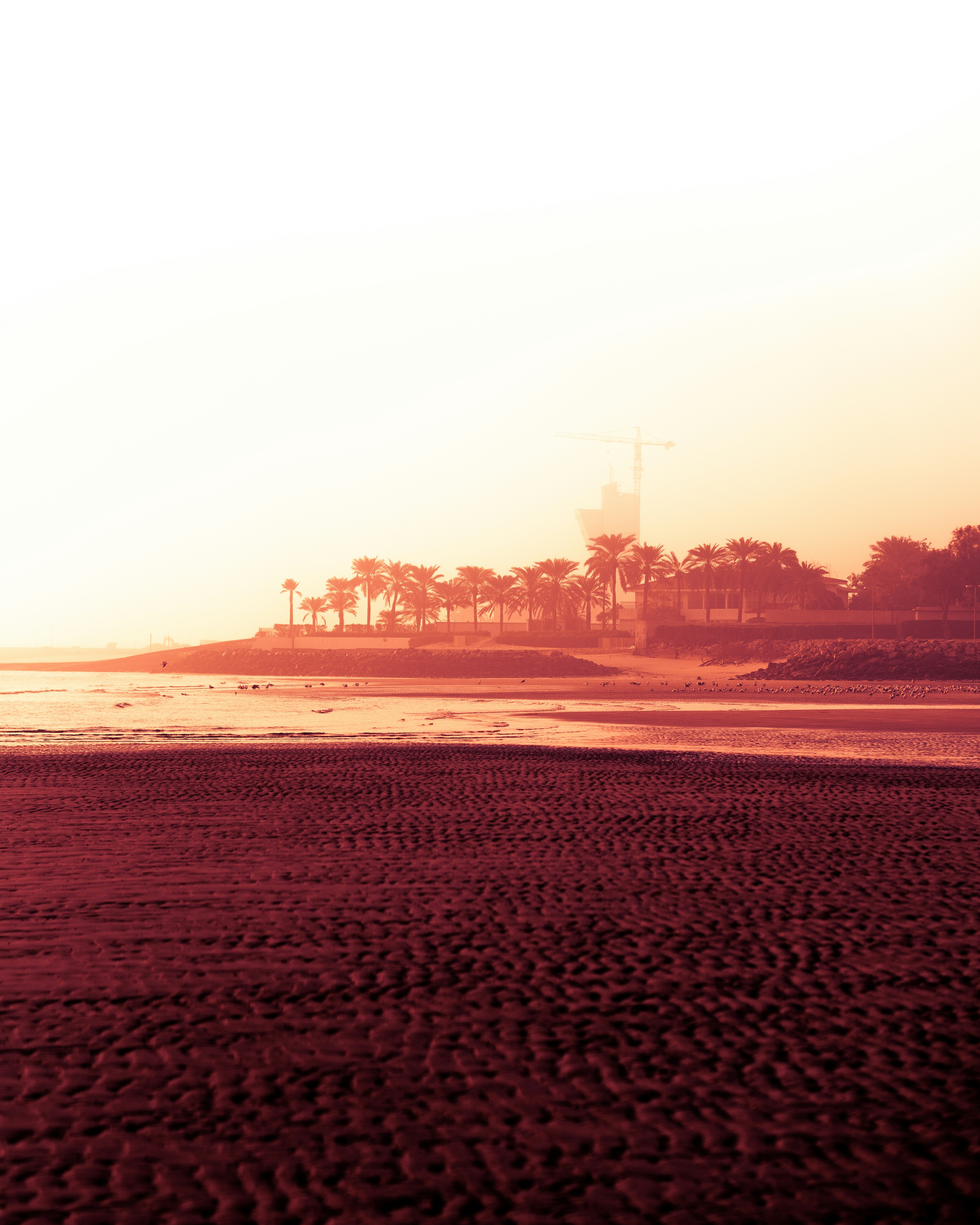 Photo by isthisdutta