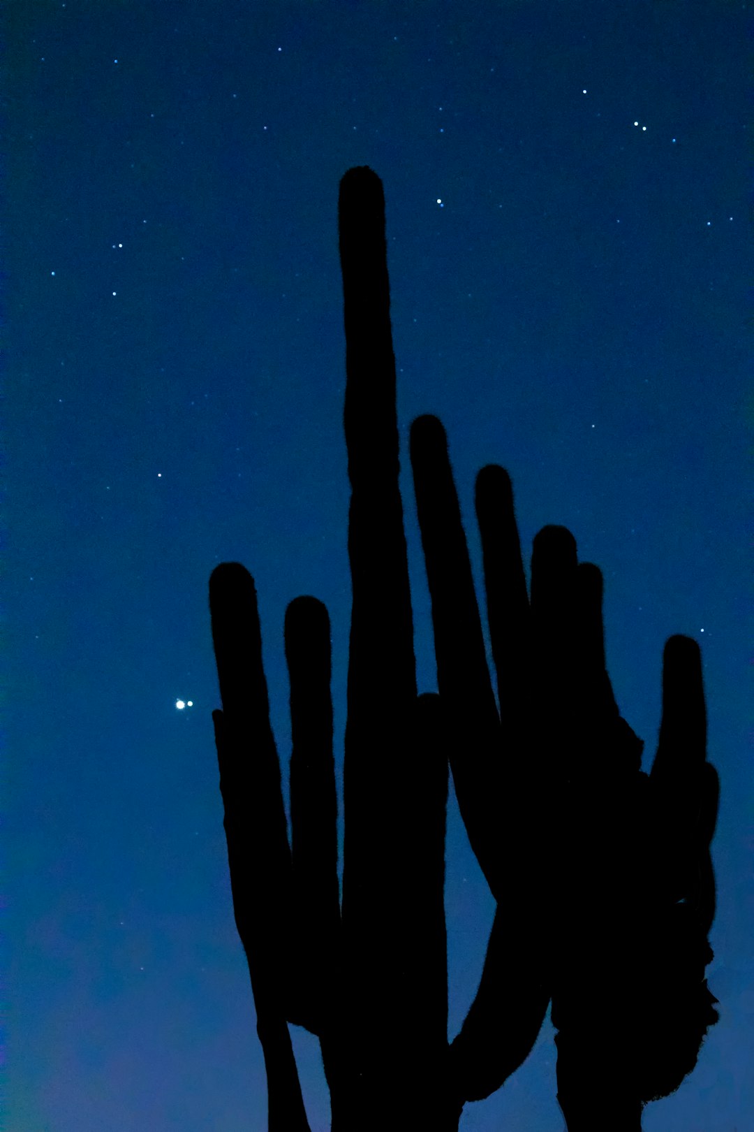 silhouette of persons hand