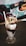 A tall, clear glass filled with a chocolate milkshake topped with whipped cream, chocolate syrup, nuts, and chocolate chips. A white straw is placed in the milkshake. The glass is placed on a dark woven surface. In the background, there is a colorful, patterned design.