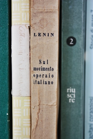 brown and green books on green textile