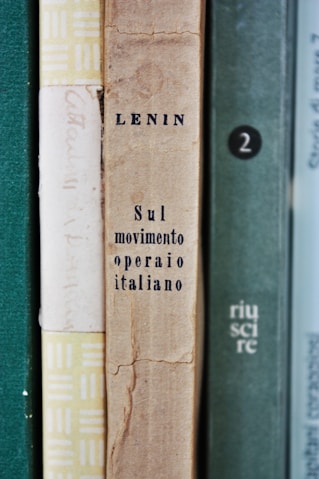 brown and green books on green textile
