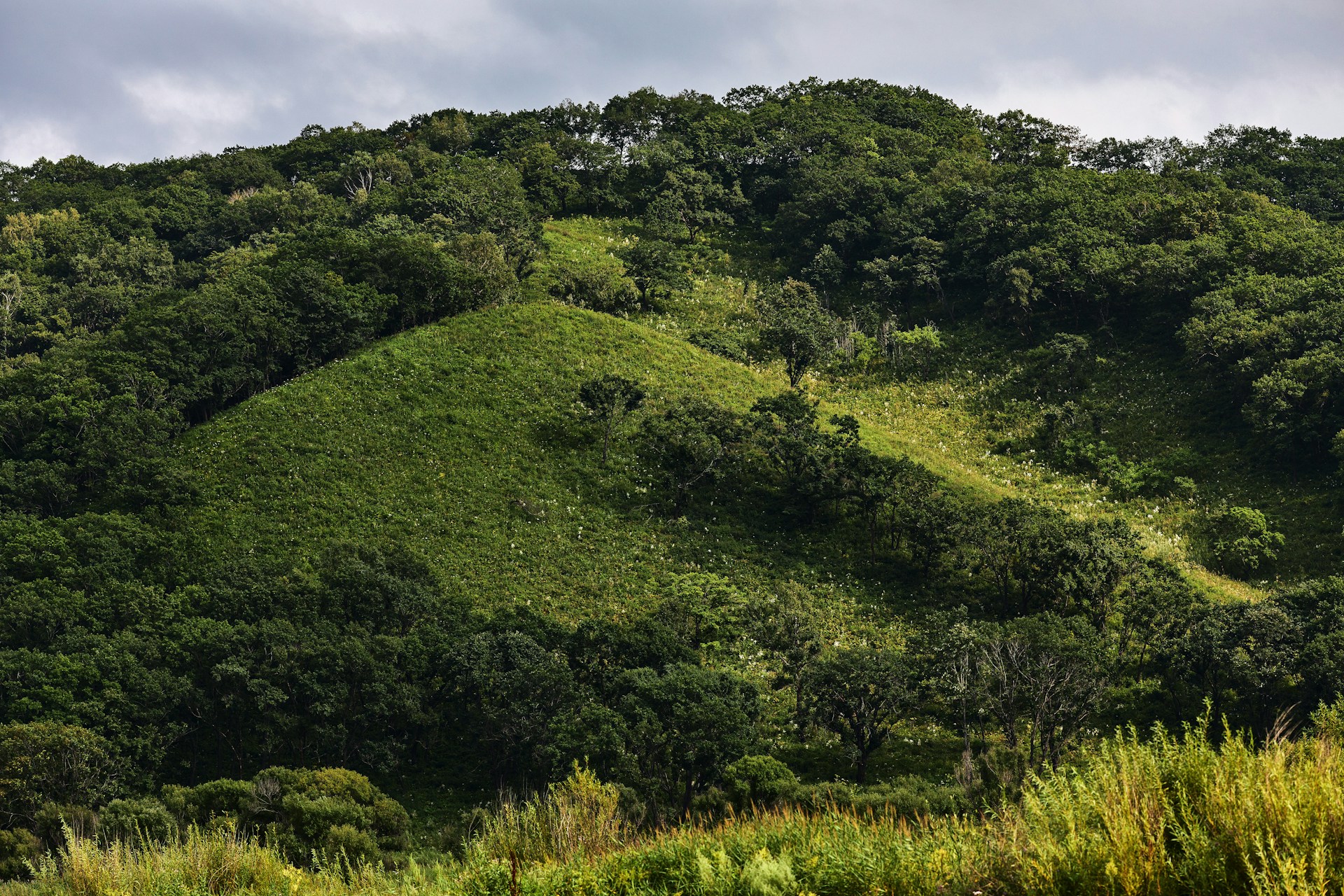 green grass field under cloudy sky during daytime