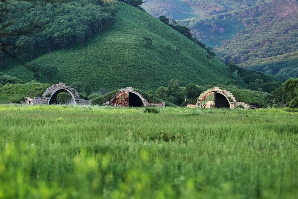 brown wooden bridge on green grass field near green mountains during daytime