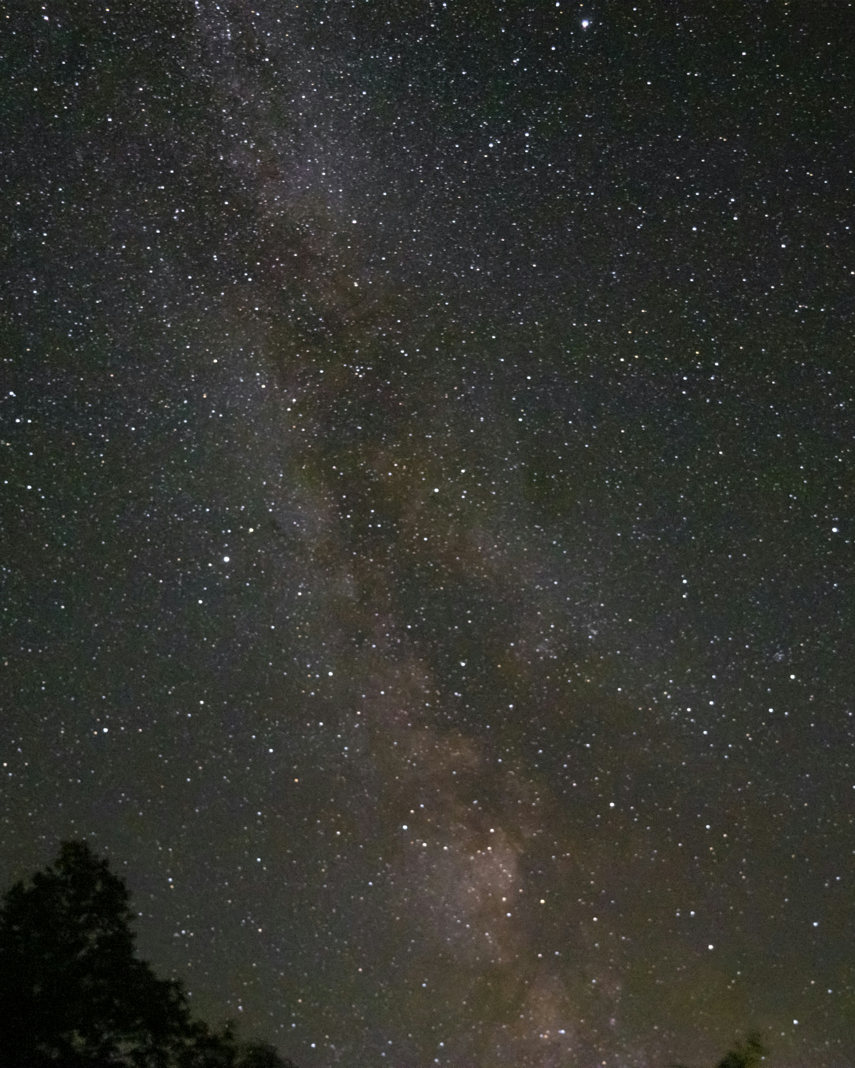 Photo by floriandormann