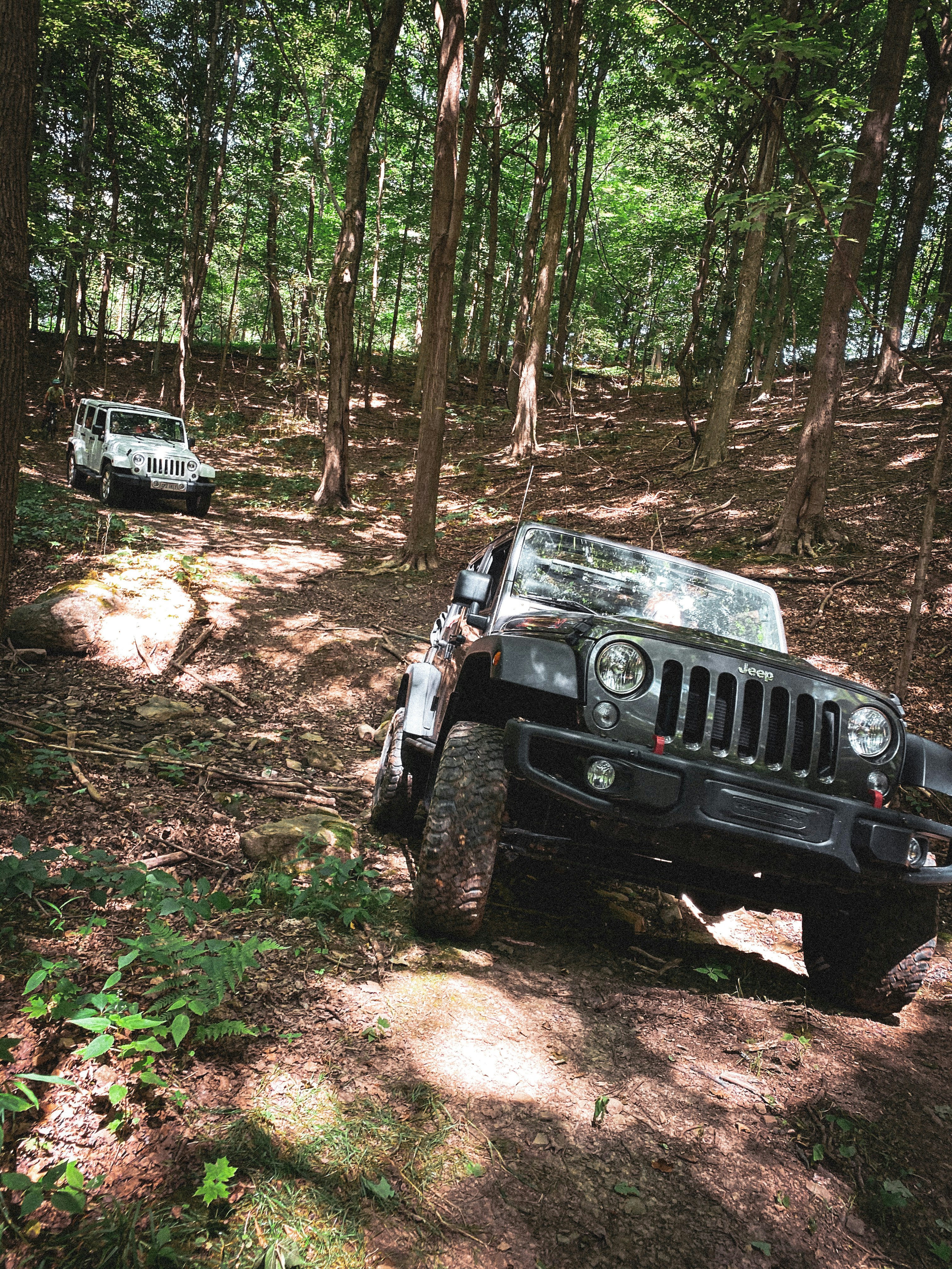 black jeep wrangler on forest during daytime