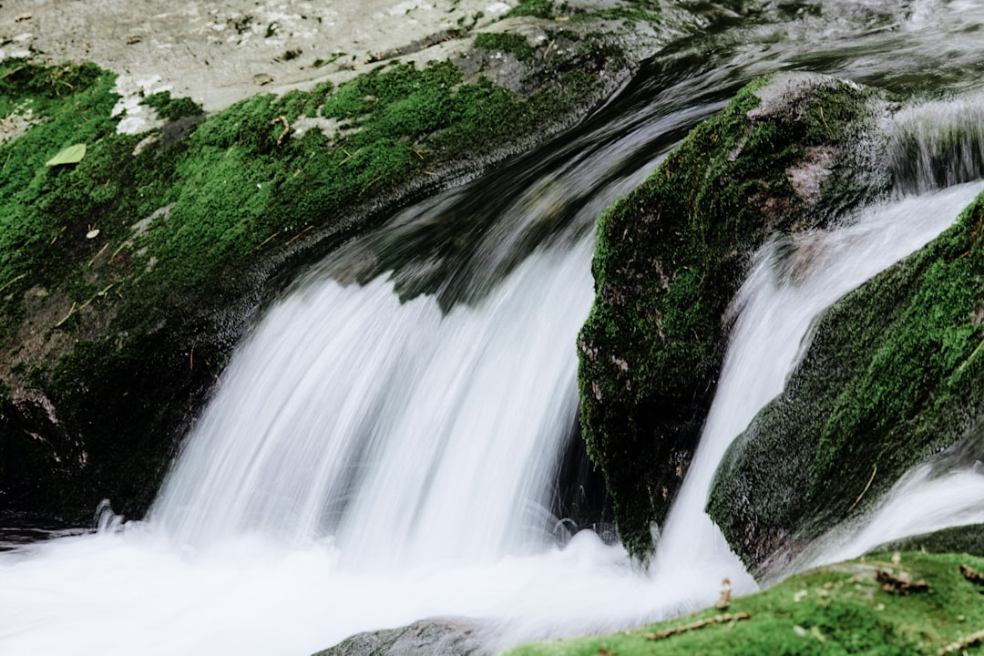 waterfalls in green grass field during daytime