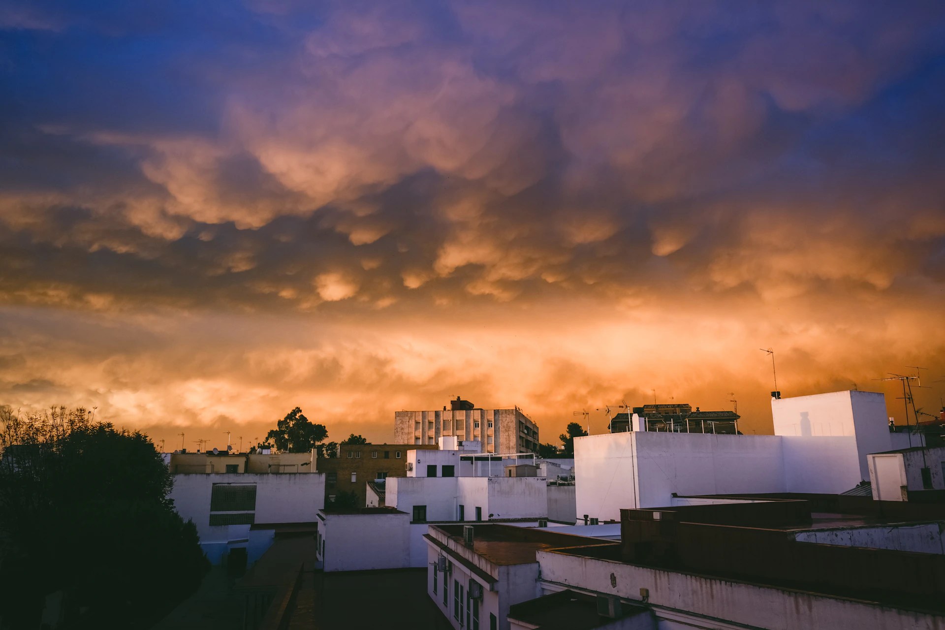 woman wearing yellow long-sleeved dress under white clouds and blue sky during daytime