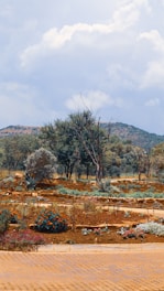 A freshly landscaped garden with trimmed bushes and colorful flowers under a clear sky.