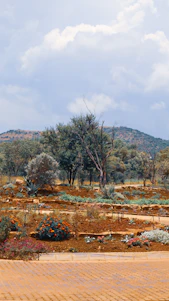 A beautifully landscaped garden with vibrant flowers and lush greenery under a clear blue sky.