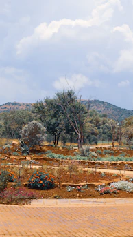 A beautifully landscaped garden with lush greenery and colorful flowers under a clear sky.
