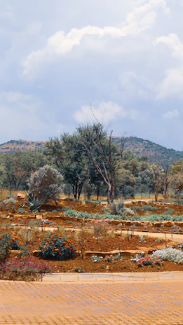 A beautifully landscaped garden with lush greenery and colorful flowers under a bright sky.