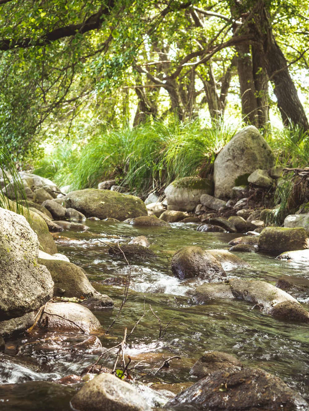 gray rocks on river during daytime