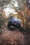 black jeep wrangler on forest during daytime