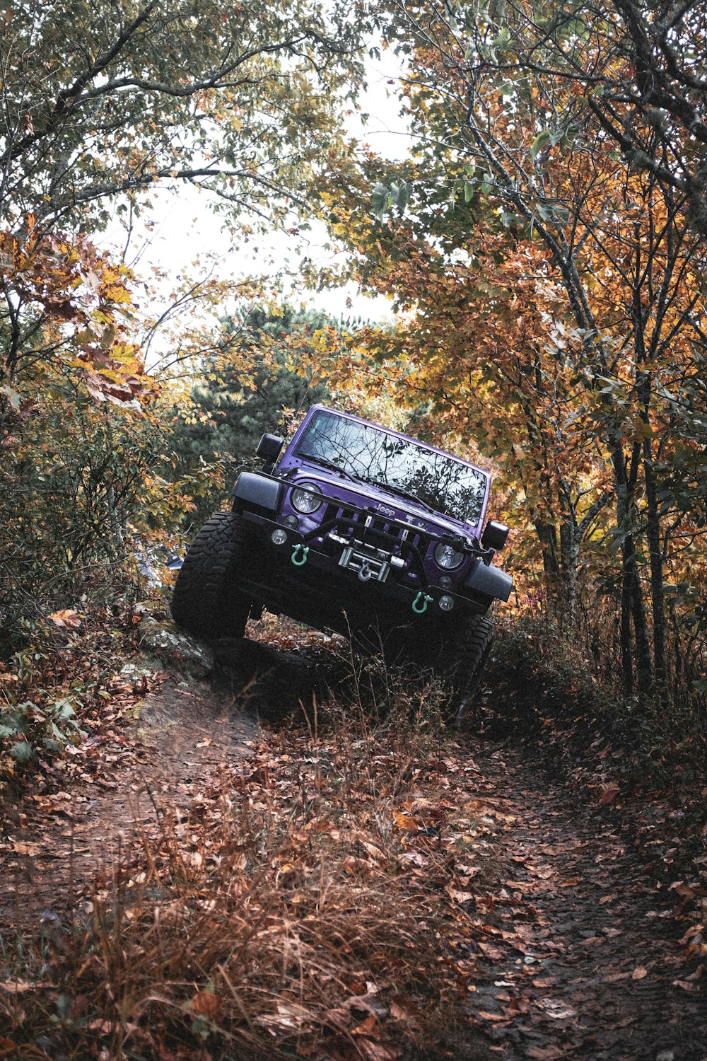 jipe wrangler preto na floresta durante o dia