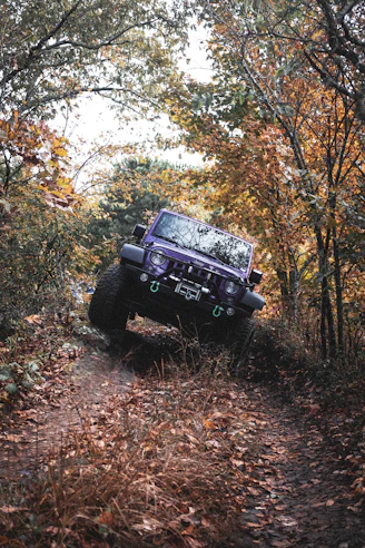 black jeep wrangler on forest during daytime