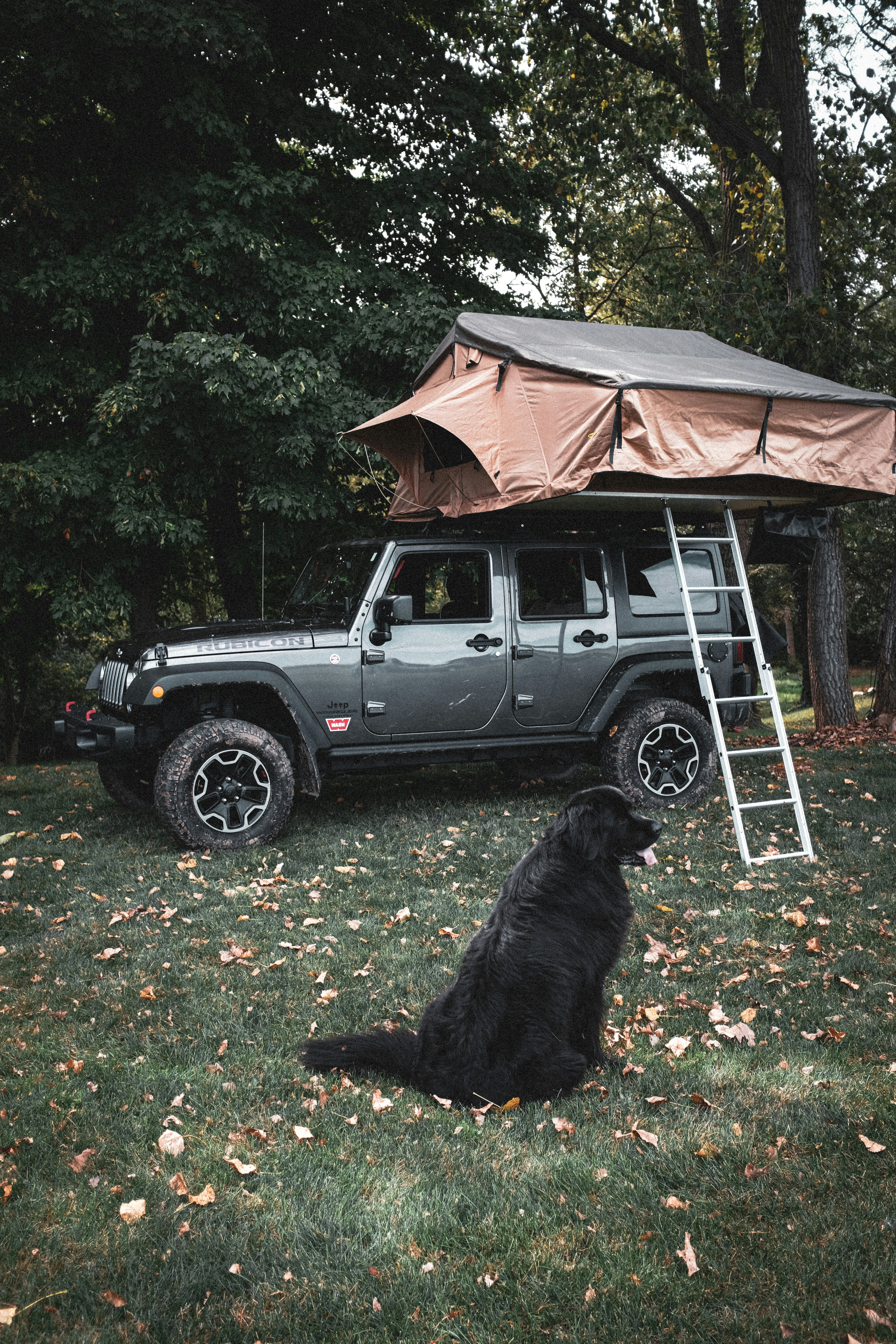 9 Jeep Wrangler Upgrade Options for Roof Racks & Cargo Solutions