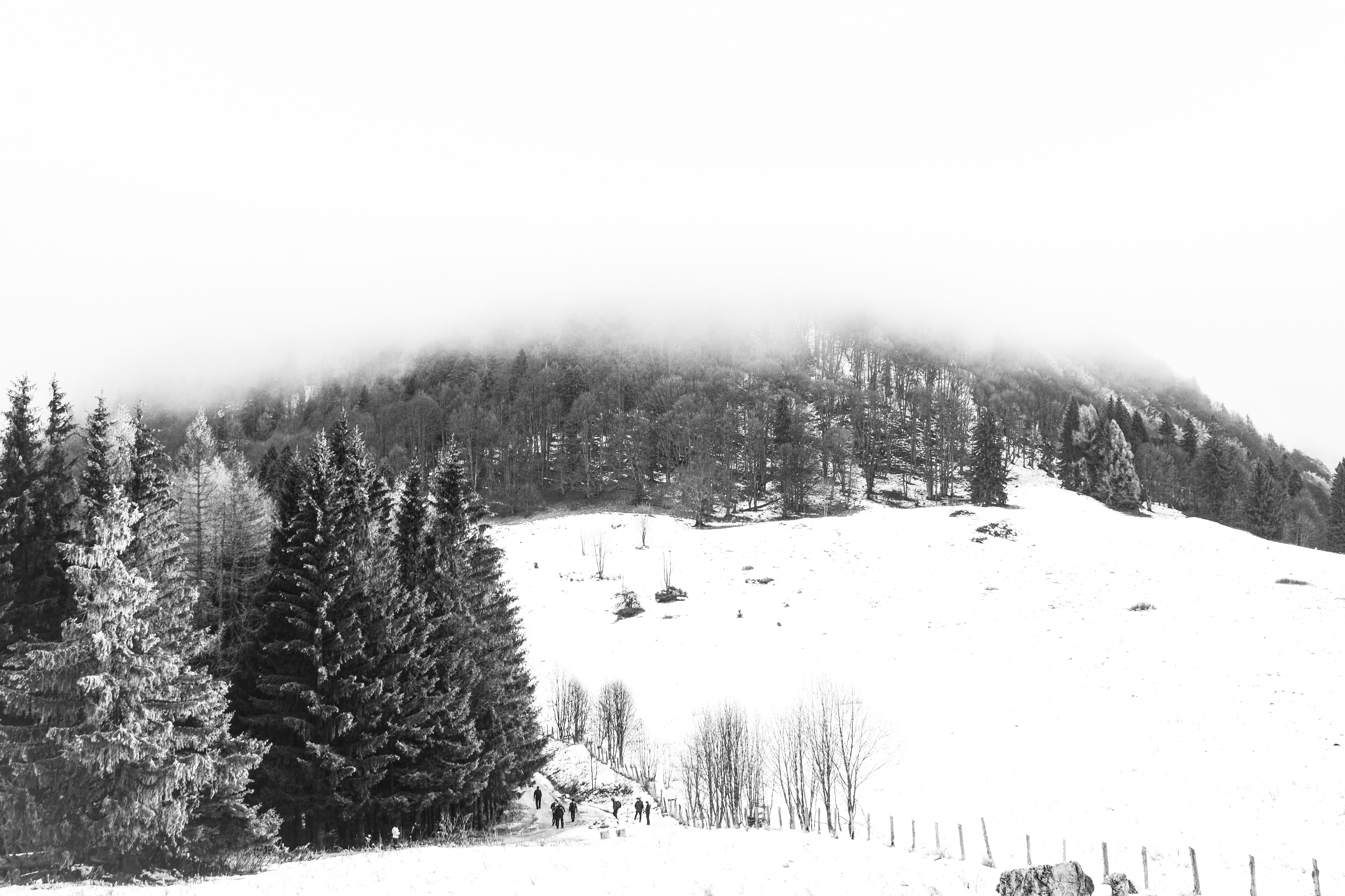 Photo by bianca_fazacas