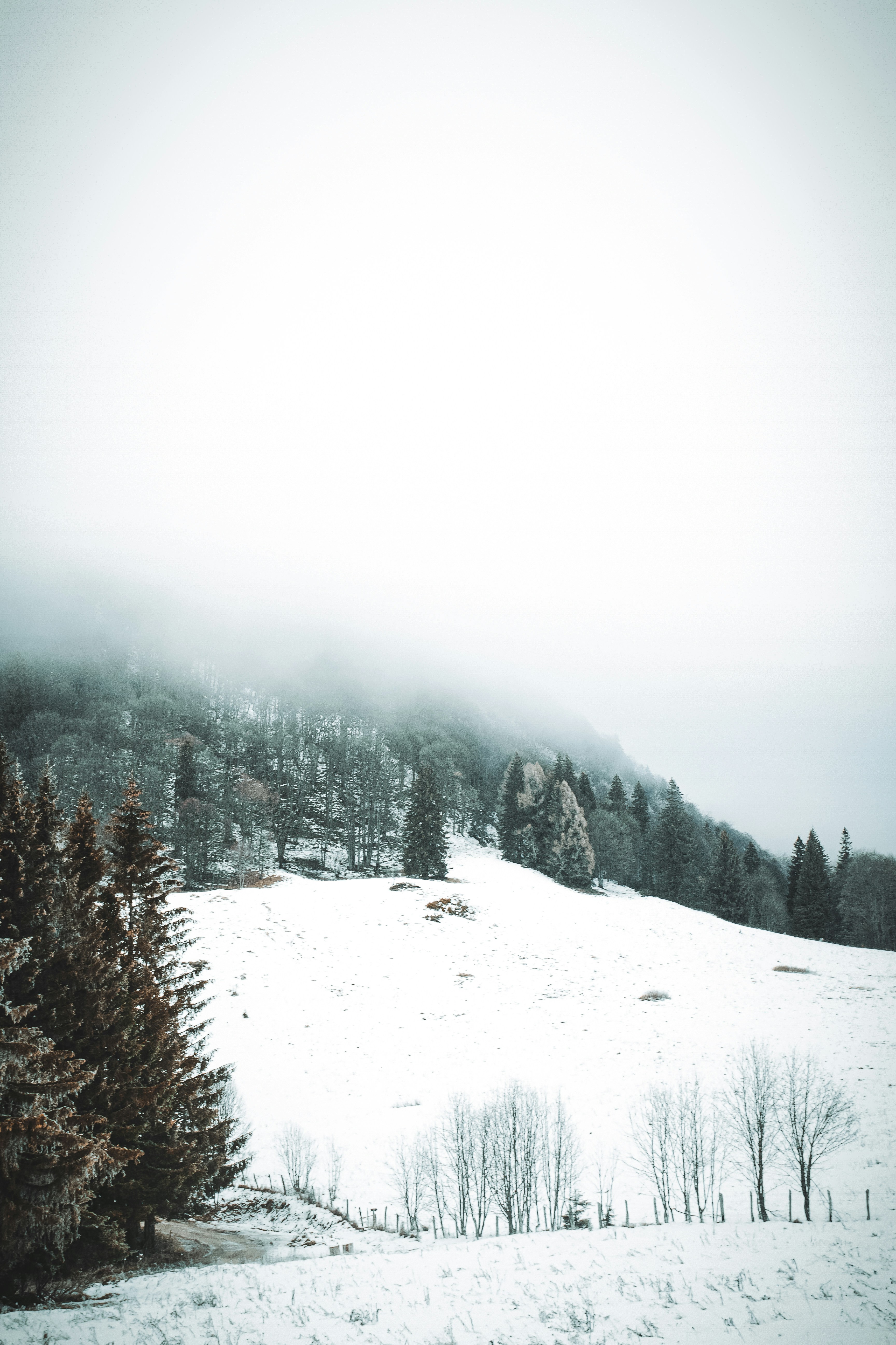 Photo by bianca_fazacas