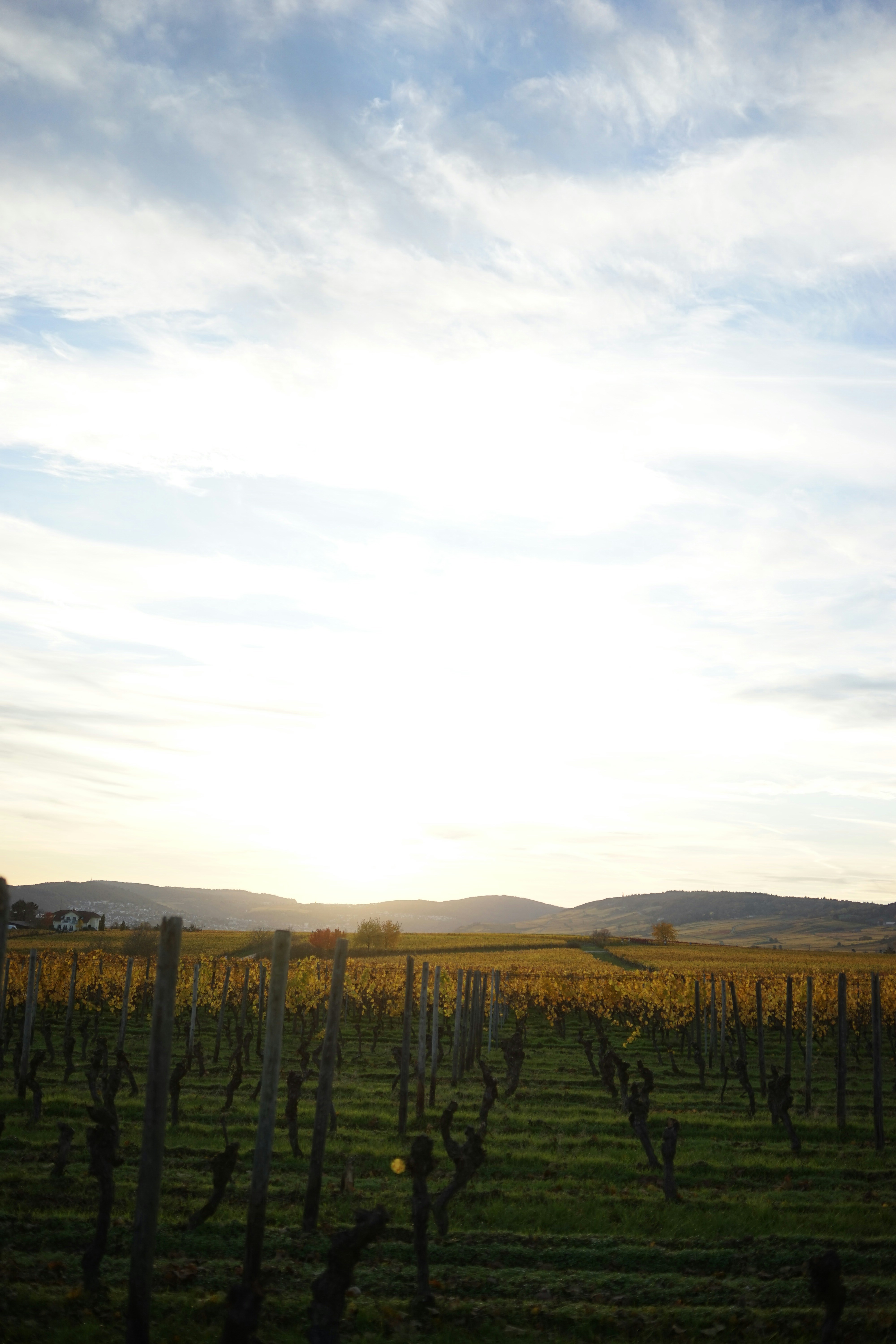 Photo by kimphoto2020