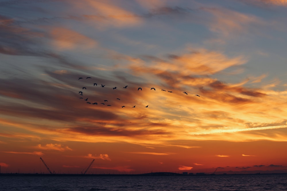 夕暮れ時に海の上を飛ぶ鳥たち