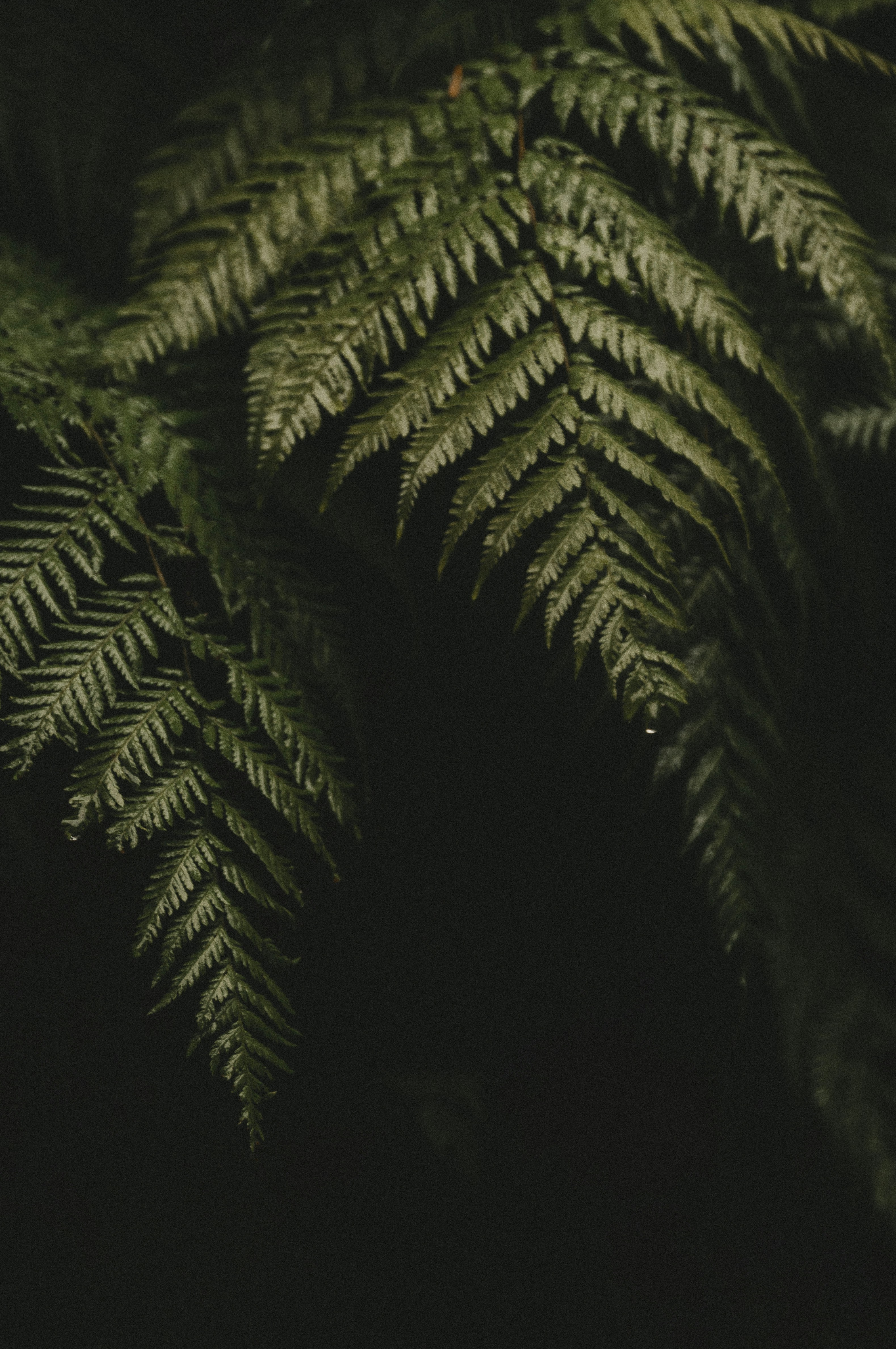 Photo by milo_contreras