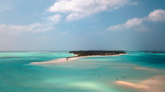 A serene private island with turquoise waters and lush greenery under a clear blue sky.