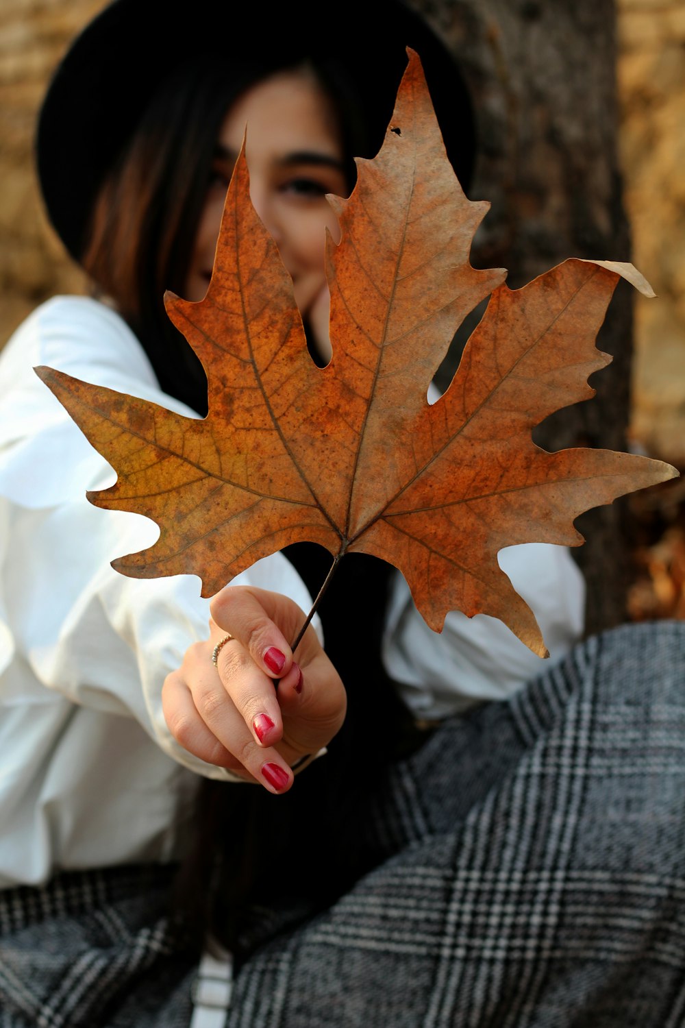 person holding white maple leaf
