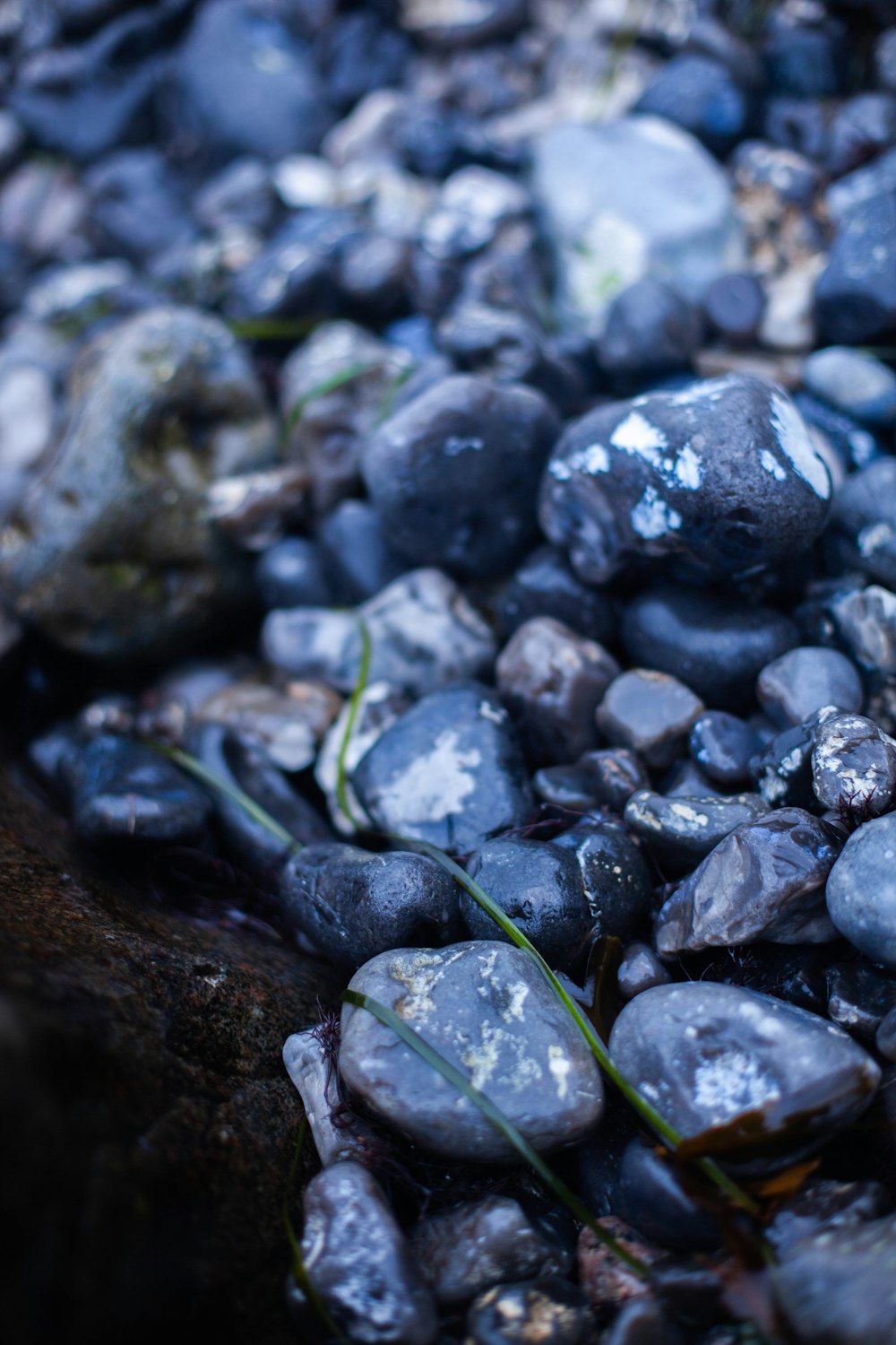 black stones on water during daytime