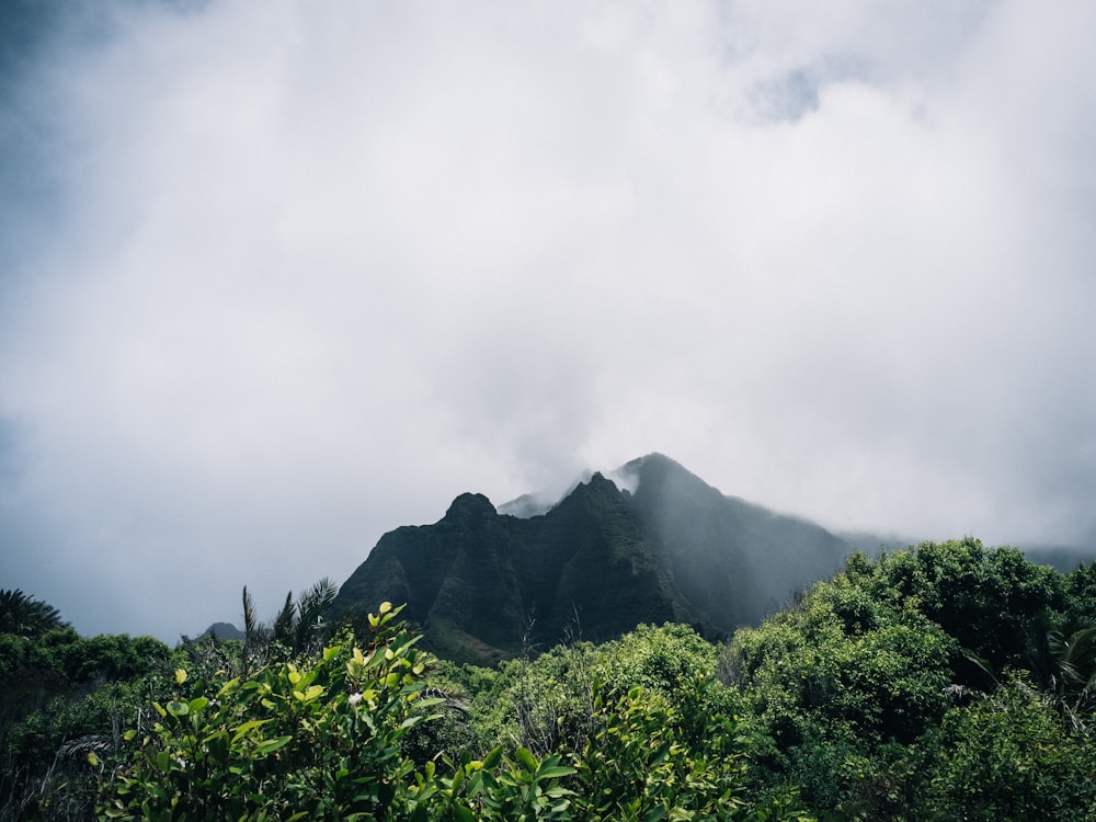 montaña verde bajo nubes blancas durante el día