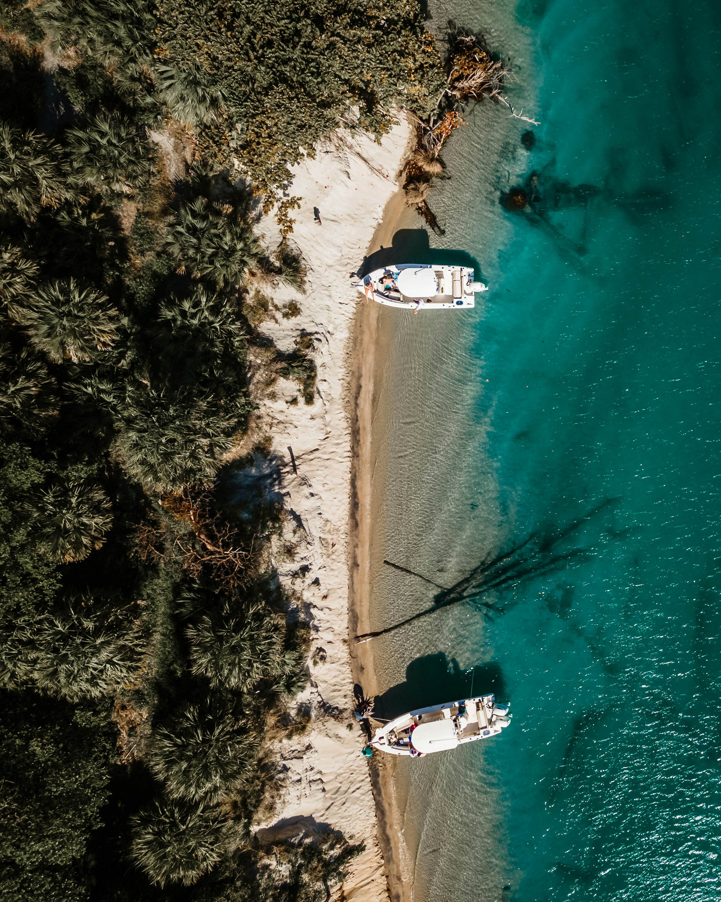 Photo by sandbarproductions