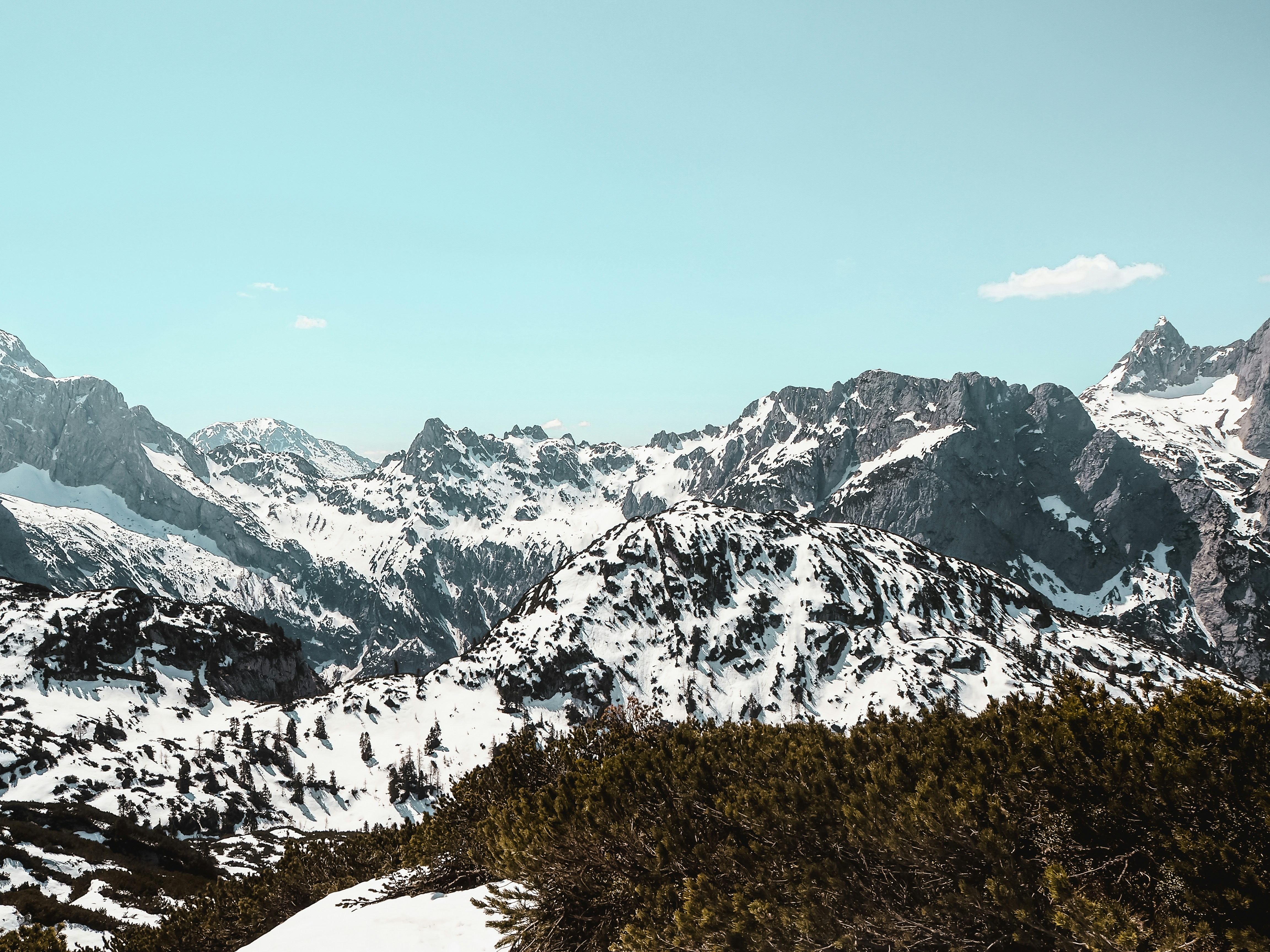 Photo by laurachouette