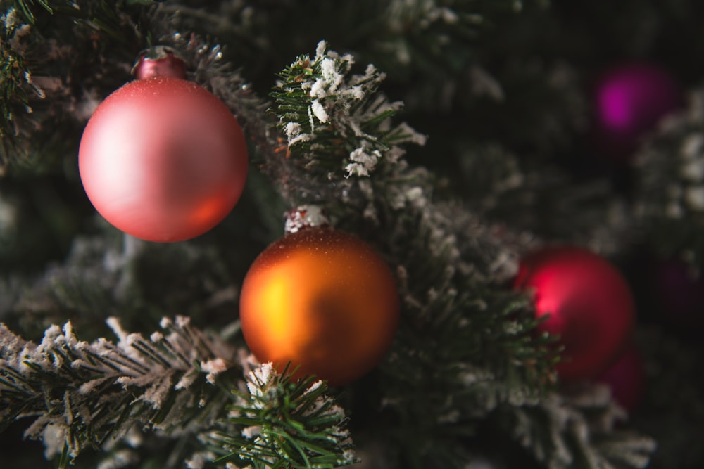 Bolas rojas y amarillas en el árbol de Navidad verde