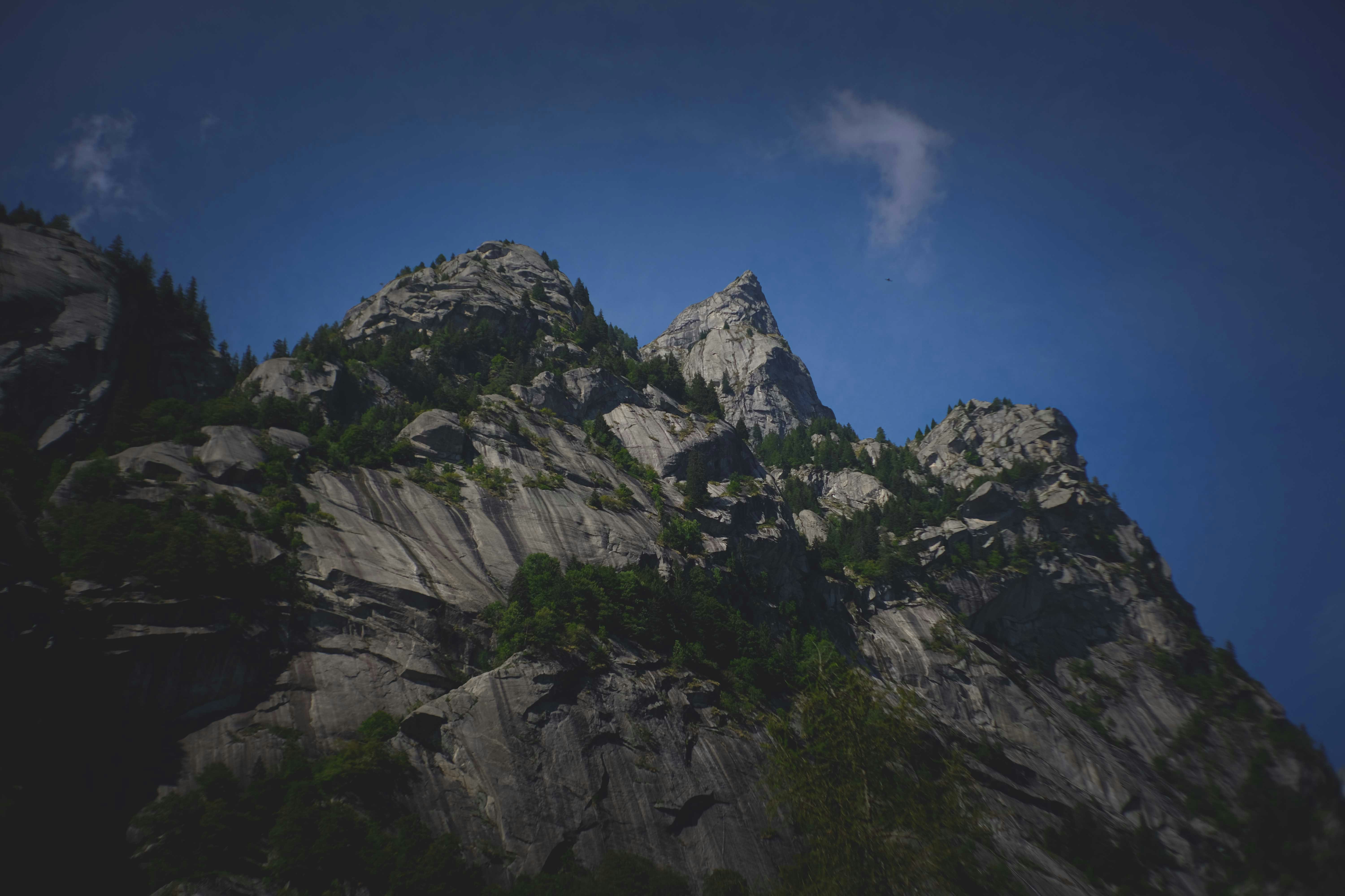 Photo by francesco_ungaro