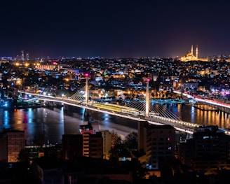 city skyline during night time