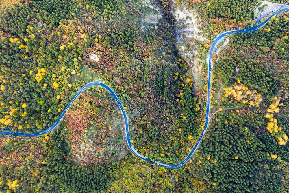 aerial view of road in between trees