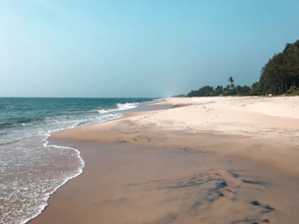 Golden sands and turquoise waves at the pristine Kovalam beach with a lighthouse in the distance.