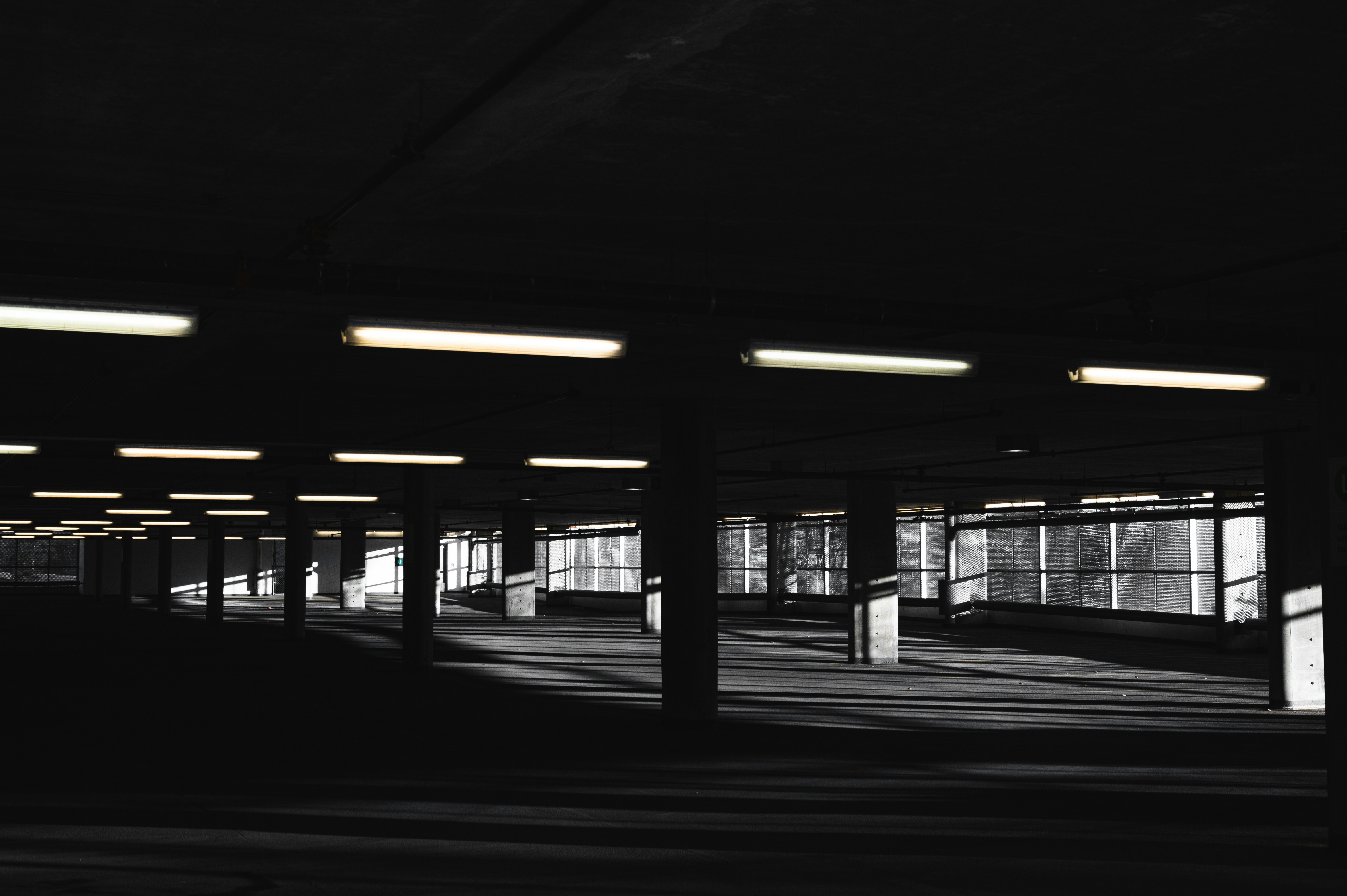 Photo by ryunosuke_kikuno