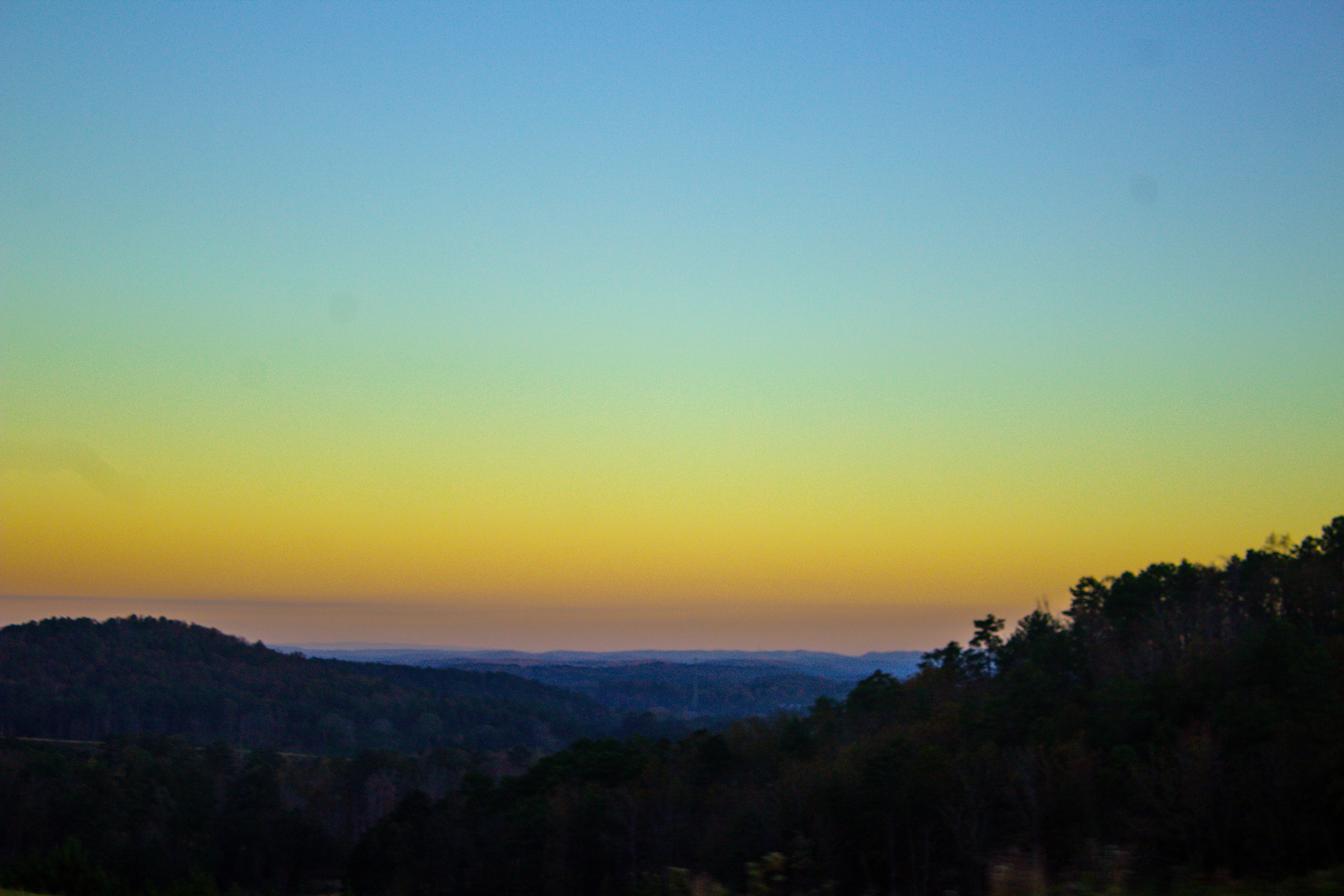 green trees on mountain during sunset