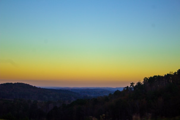 A serene landscape depicting a lush green forest under a purple sky.