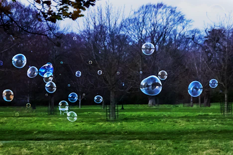 clear bubbles on green grass field during daytime