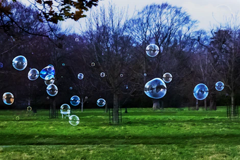 clear bubbles on green grass field during daytime