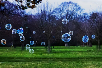 clear bubbles on green grass field during daytime