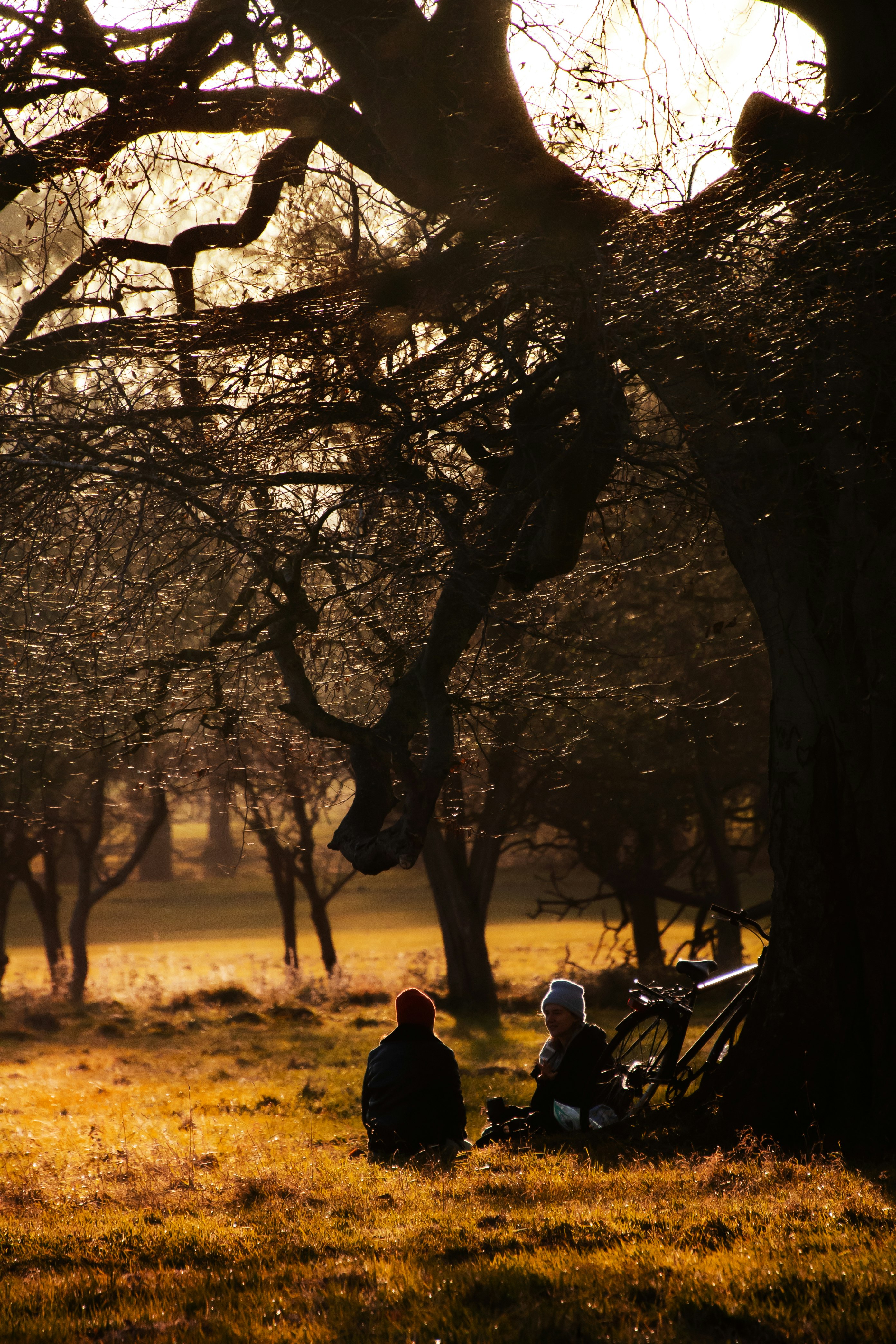 silhouette of people sitting on motorcycle during sunset