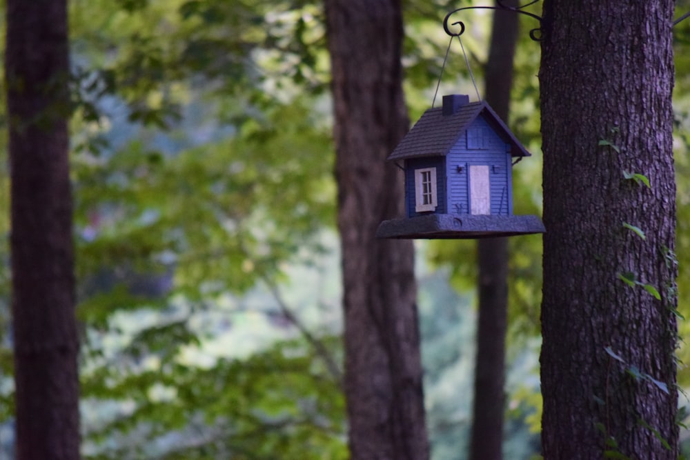 blue and white wooden birdhouse on tree branch during daytime